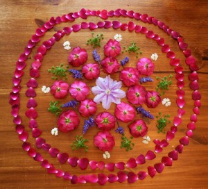flower mandala 040