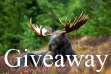 giveaway-animal