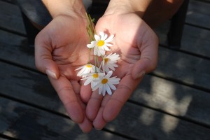 flower-hands-giving-give-gift-take-1