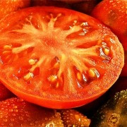 fruit-tomato-vegetable-nature-vegetables-3