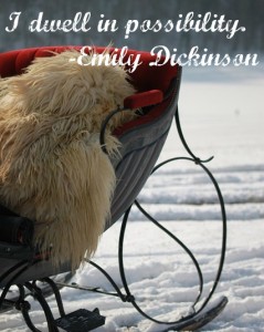 horse-drawn-sleigh-winter-snowfield-cold